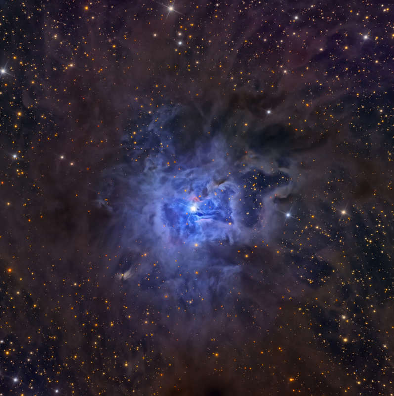 NGC 7023: tumannost' Iris