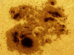 AR 2192:   