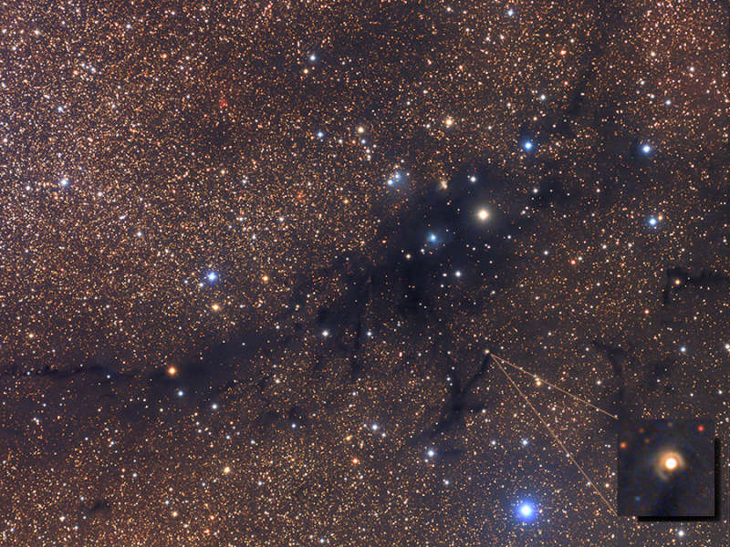 LDN 988: Dark Nebula in Cygnus