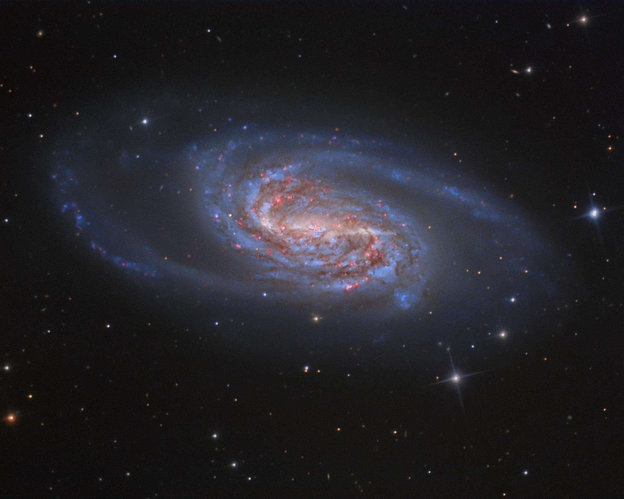 NGC 2903: A Missing Jewel in Leo