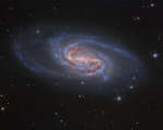 NGC 2903: poteryannoe sokrovishe v L've