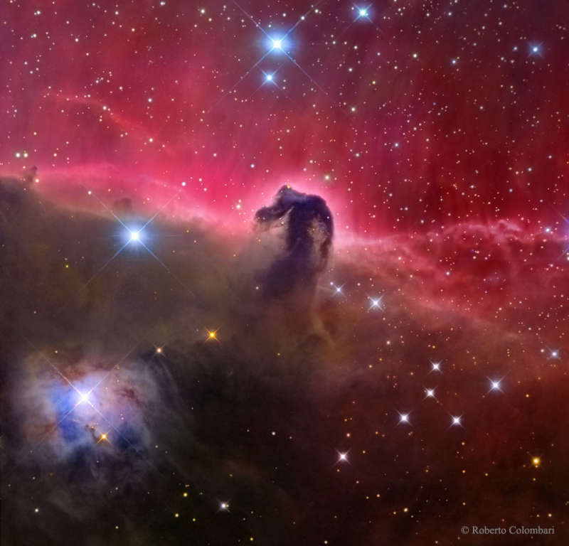 The Magnificent Horsehead Nebula
