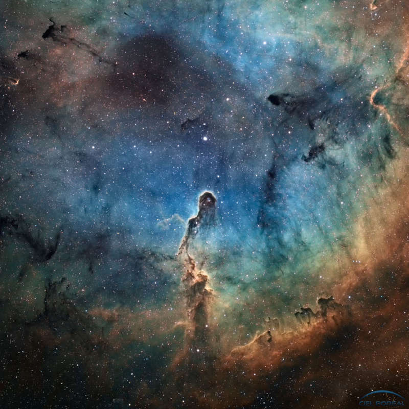 The Elephants Trunk in IC 1396