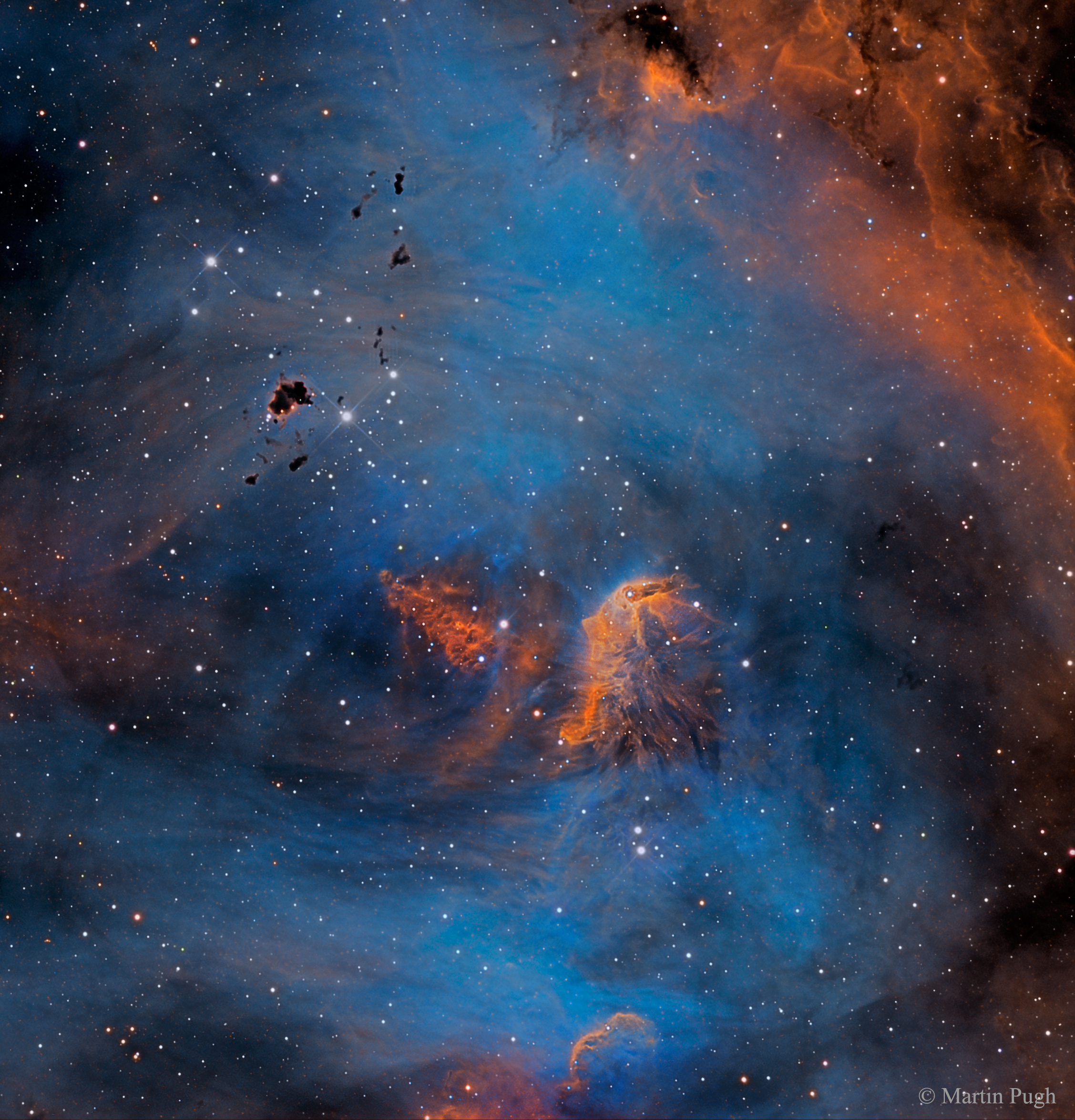 Stars and Globules in the Running Chicken Nebula
