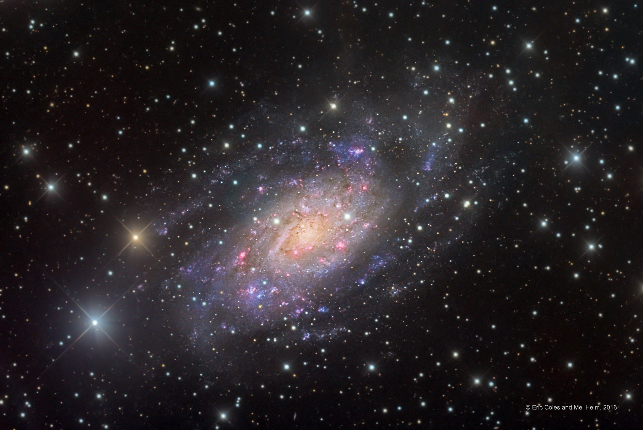 NGC 2403 v Zhirafe
