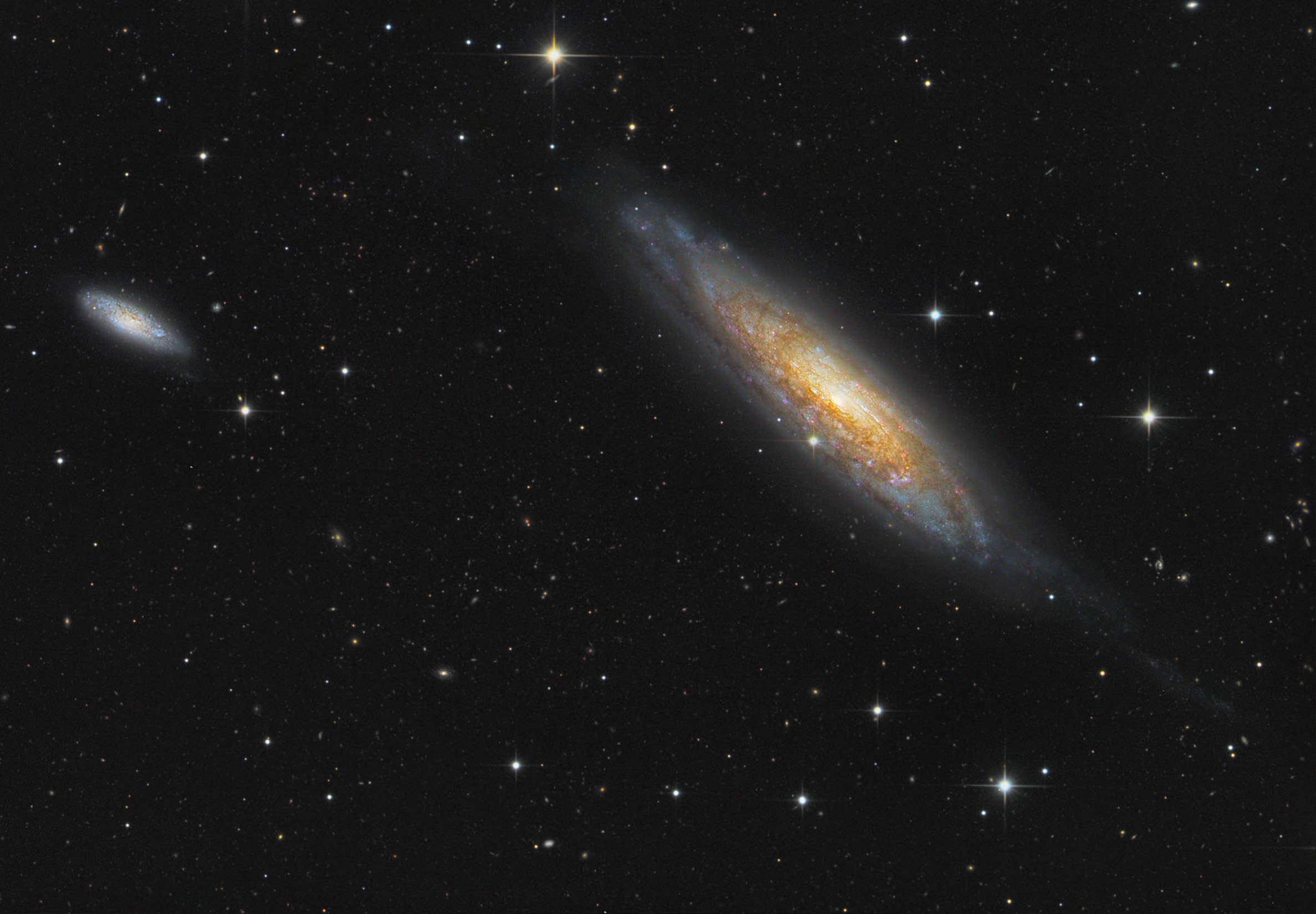 Sculptor Galaxy NGC 134