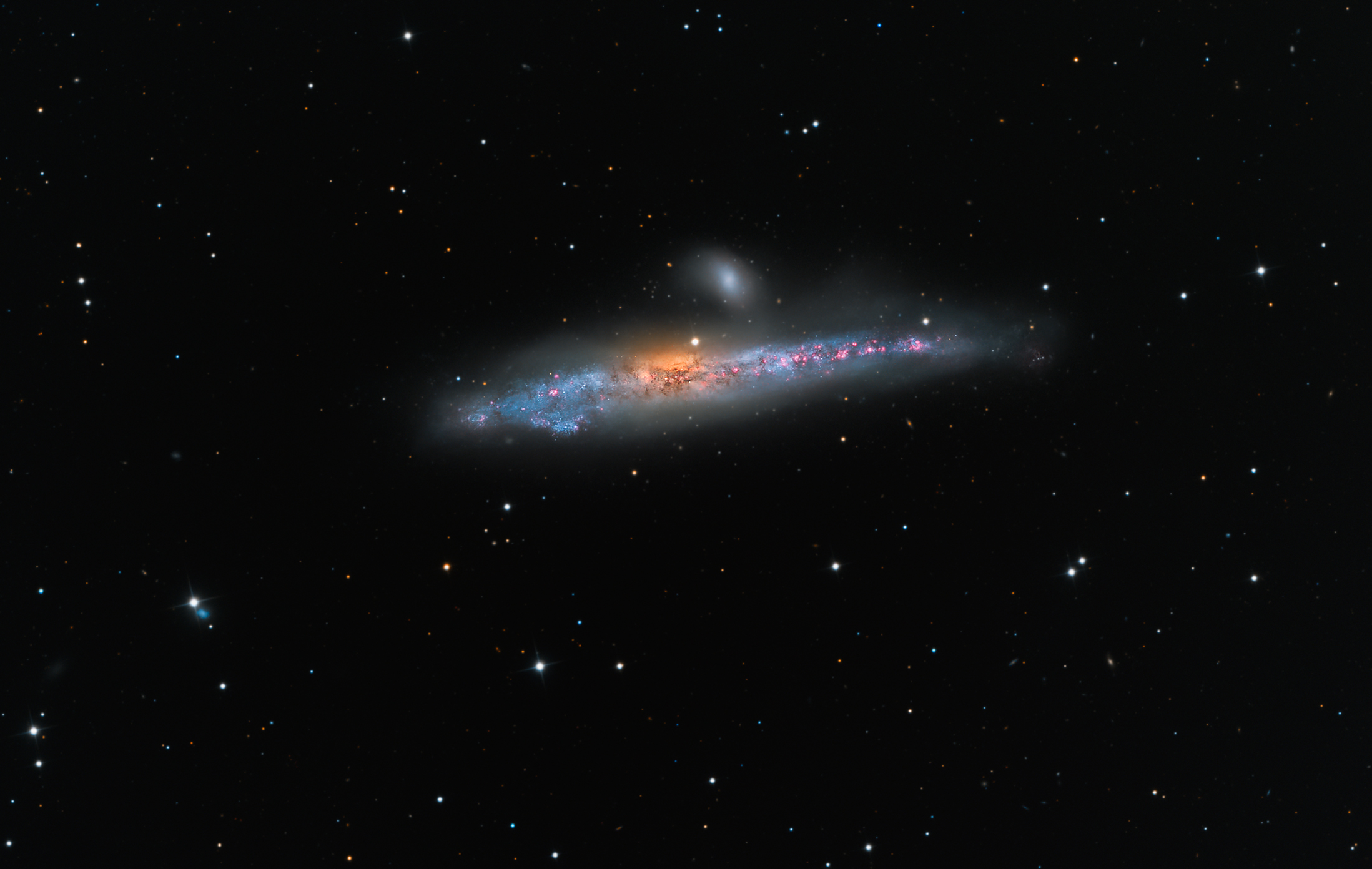 NGC 4631: The Whale Galaxy