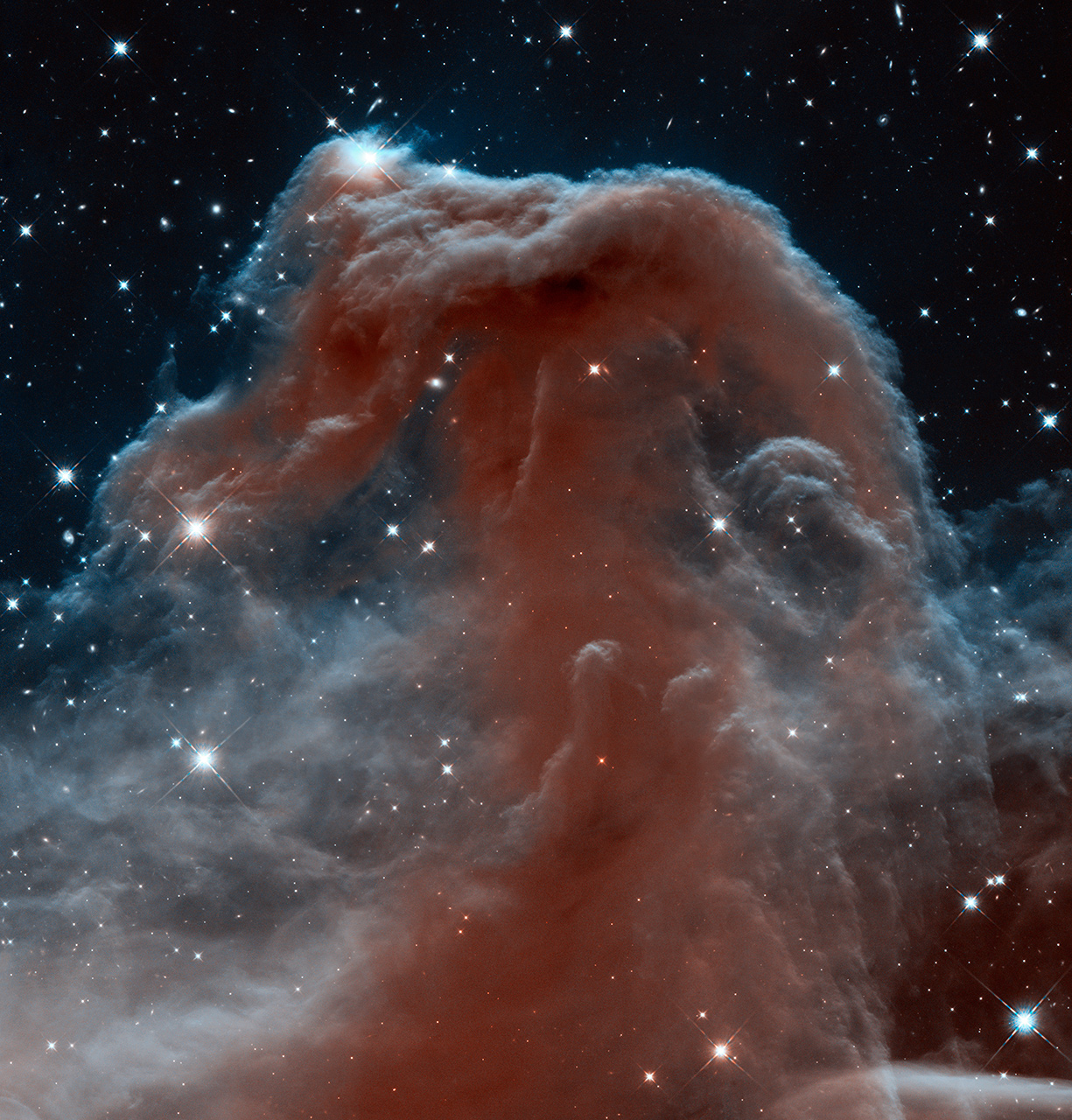The Horsehead Nebula in Infrared from Hubble