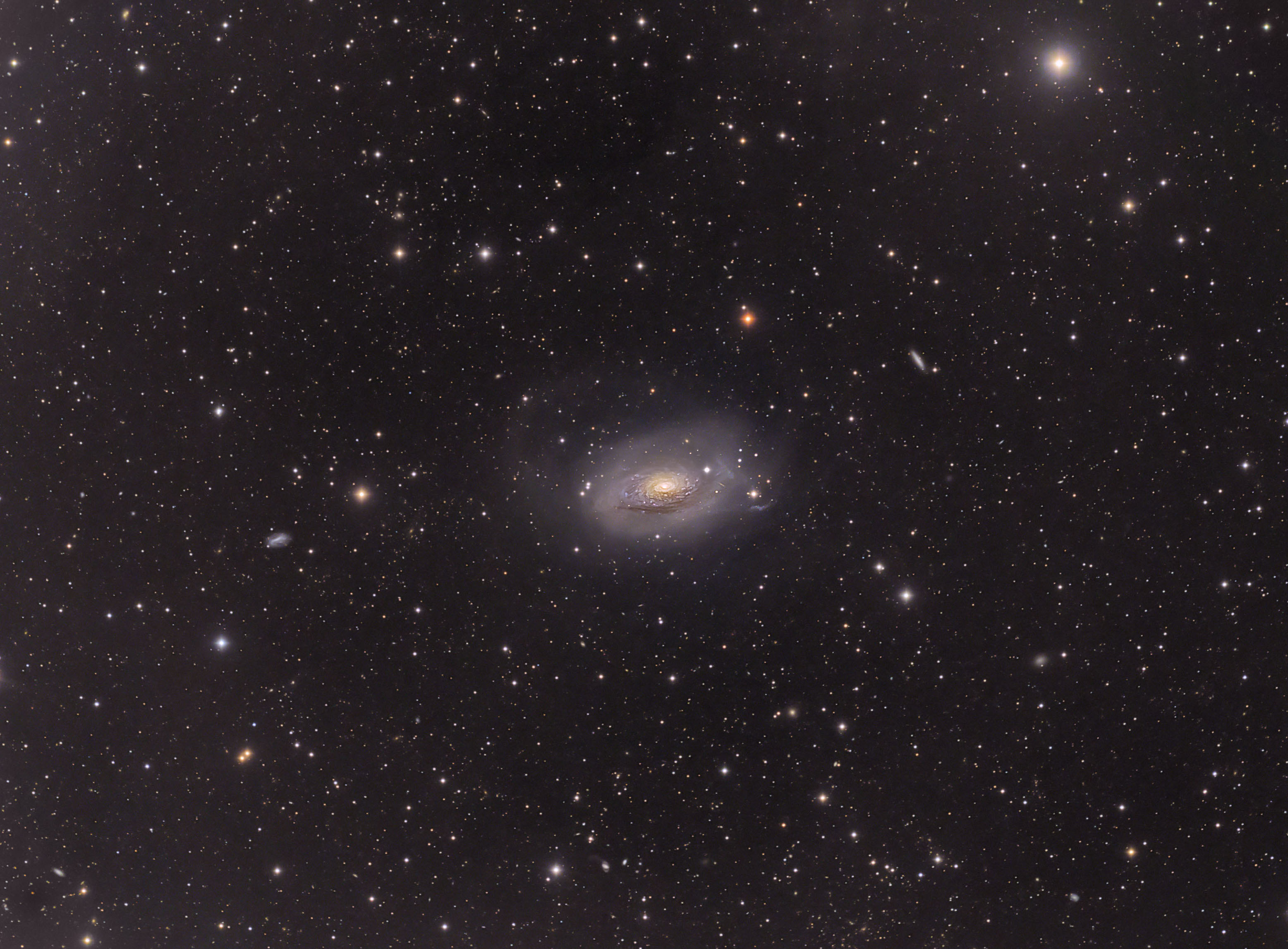 M63: Sunflower Galaxy Wide Field