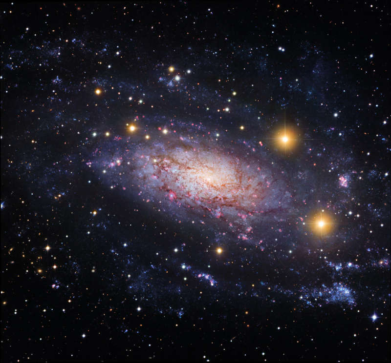 NGC 3621: daleko za predelami Mestnoi gruppy galaktik