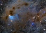 Молодые звезды и пылевые туманности в Тельце