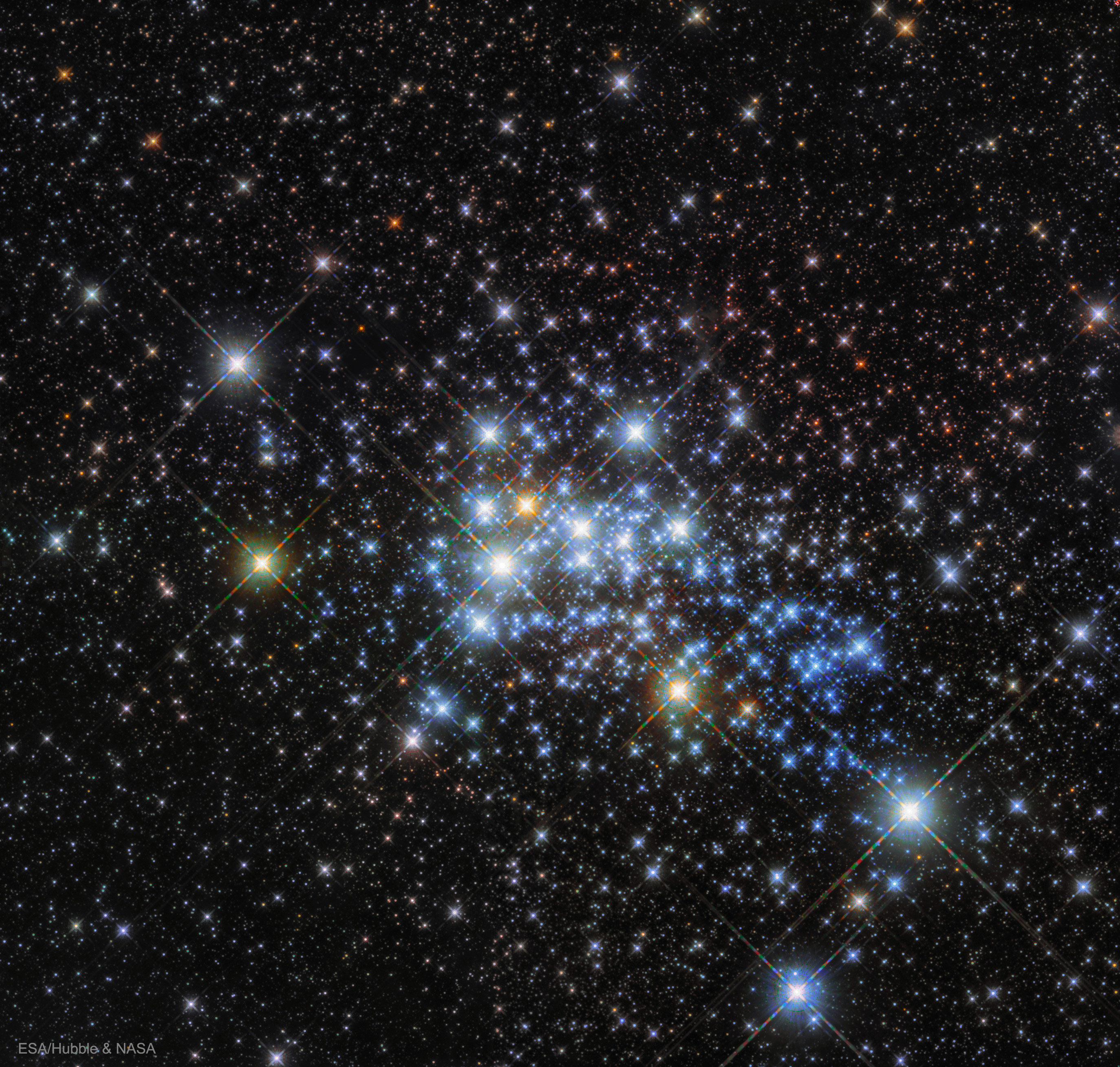 Massivnye zvezdy v skoplenii Vesterlund 1