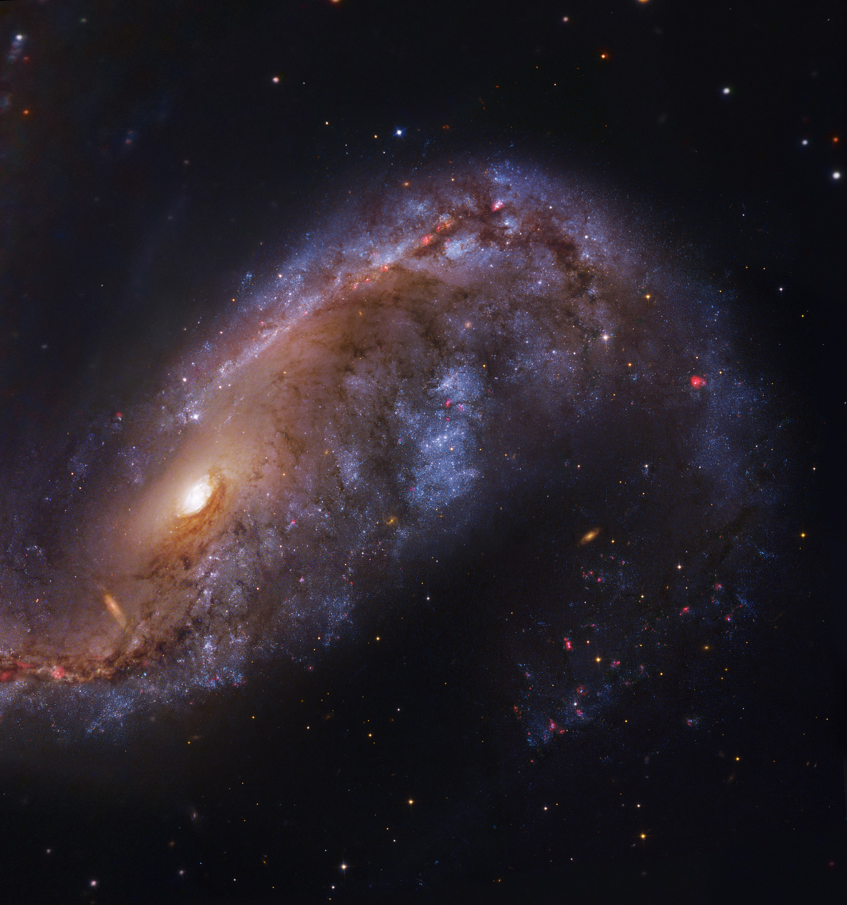 NGC 2442:    