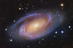    M81