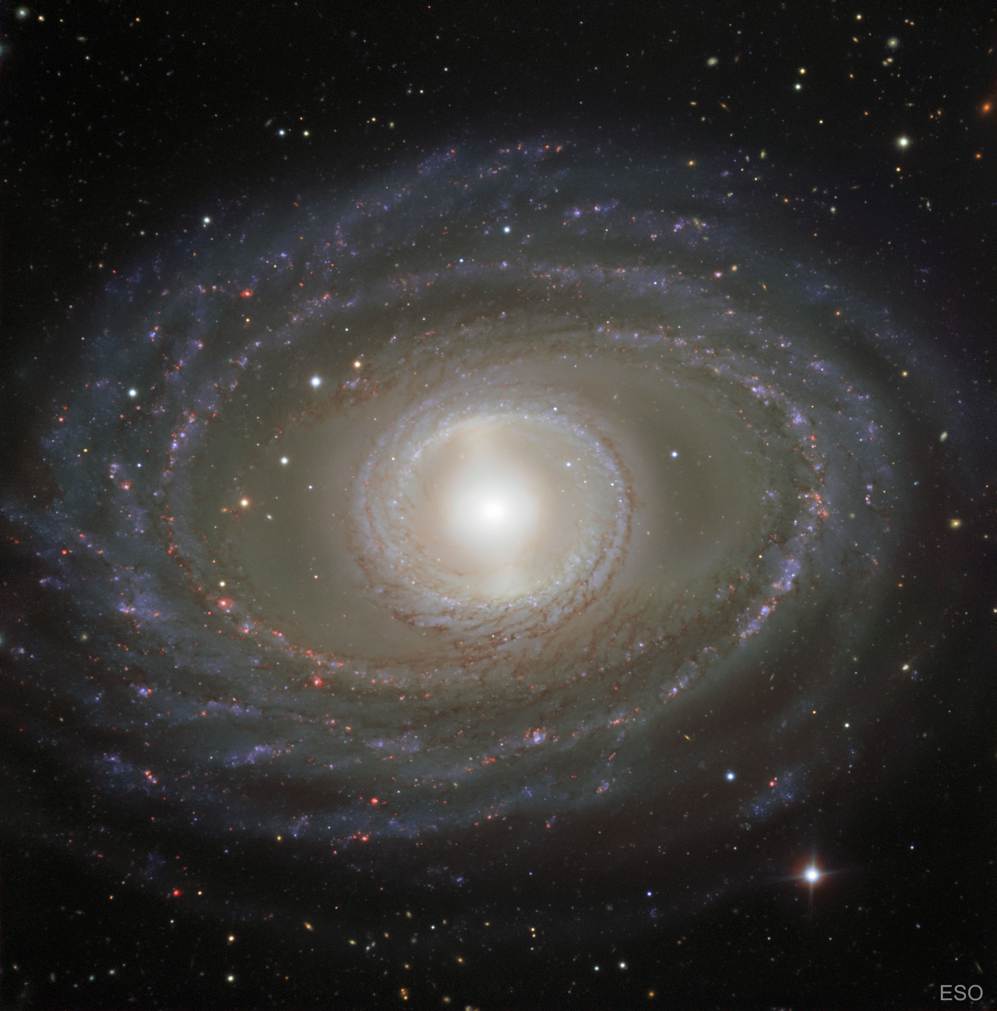        NGC 1398