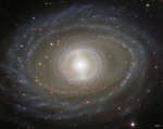 Ленты и жемчужины в спиральной галактике  NGC 1398