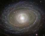        NGC 1398