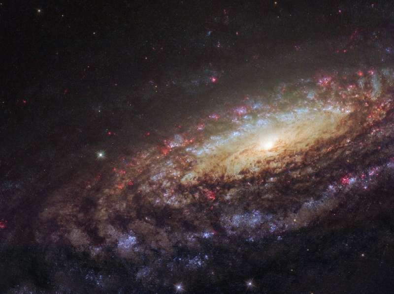 NGC 7331  