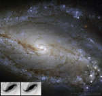 Пыль, звезды и сверхновая в NGC 613
