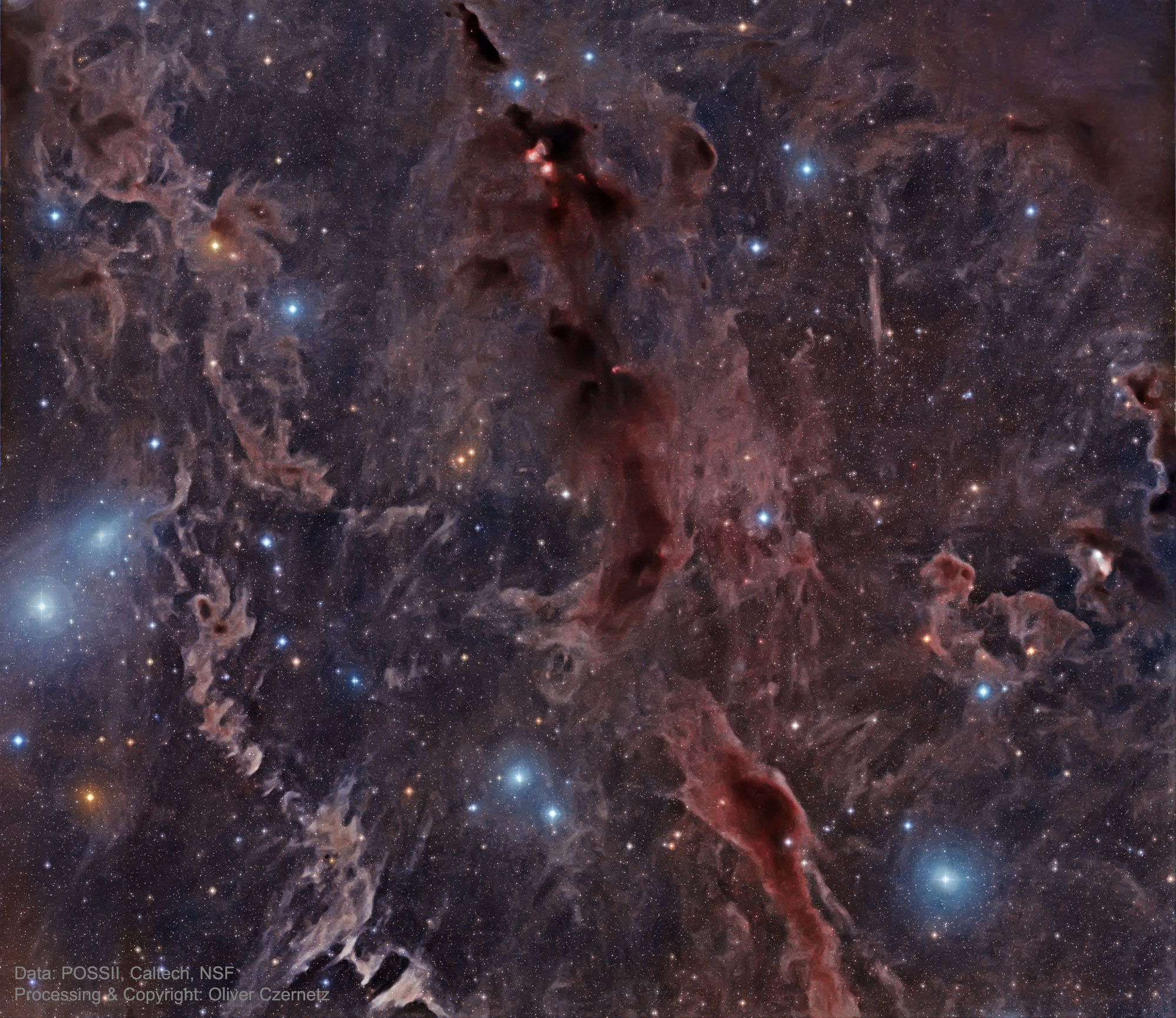 Новелла межзвездная. Туманность конская голова (Barnard 33). Туманность конская голова Хаббл. Туманность в созвездии тельца. Туманность конская голова в созвездии Ориона.