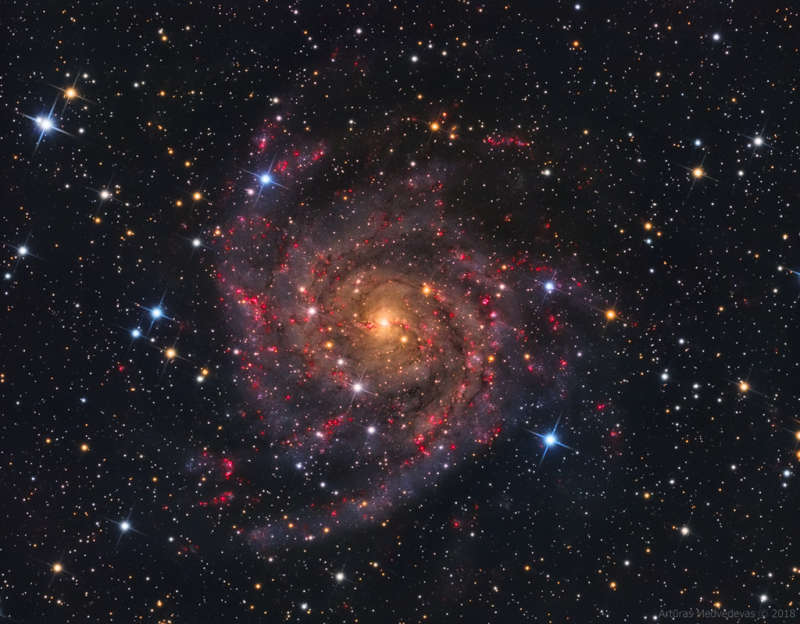 IC 342: The Hidden Galaxy
