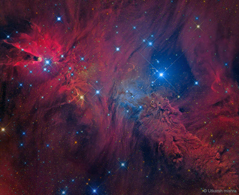 In the Vicinity of the Cone Nebula