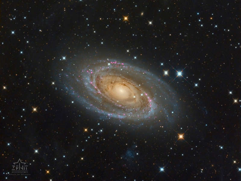 Мессье 81