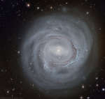 Анемичная спиральная галактика NGC 4921
