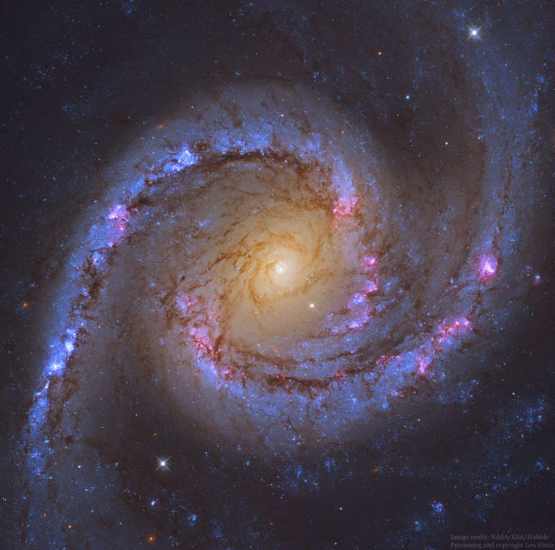 NGC 1566: spiral'naya galaktika "Ispanskaya tancovshica"