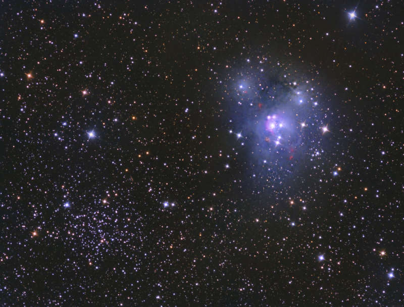 NGC 7129  NGC 7142