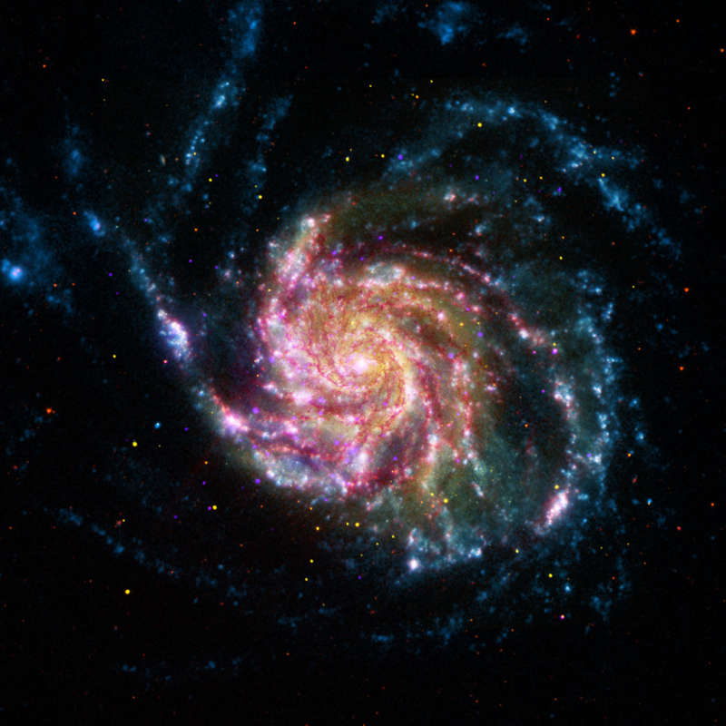 M101  XXI 