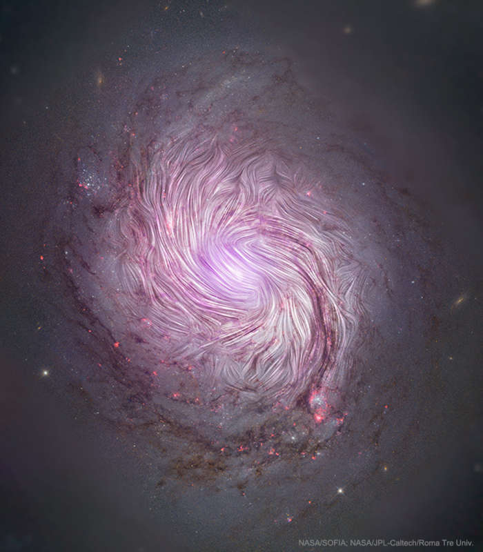 The Magnetic Fields of Spiral Galaxy M77