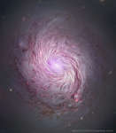 Магнитные поля спиральной галактики M77