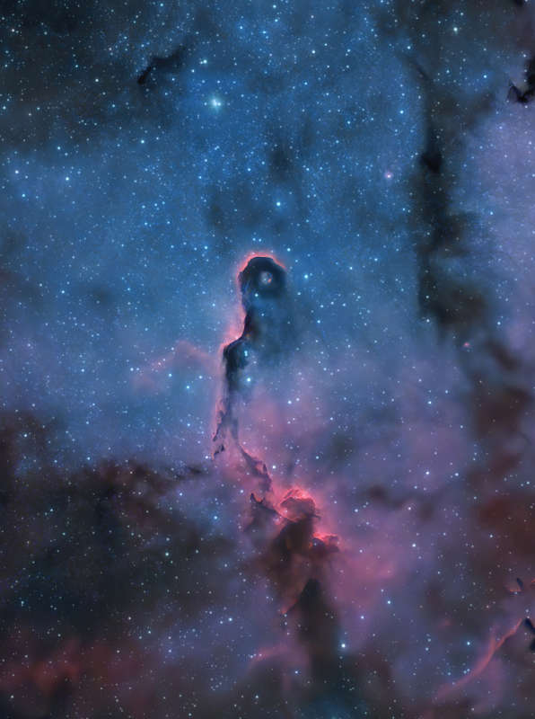 The Elephant's Trunk Nebula in Cepheus