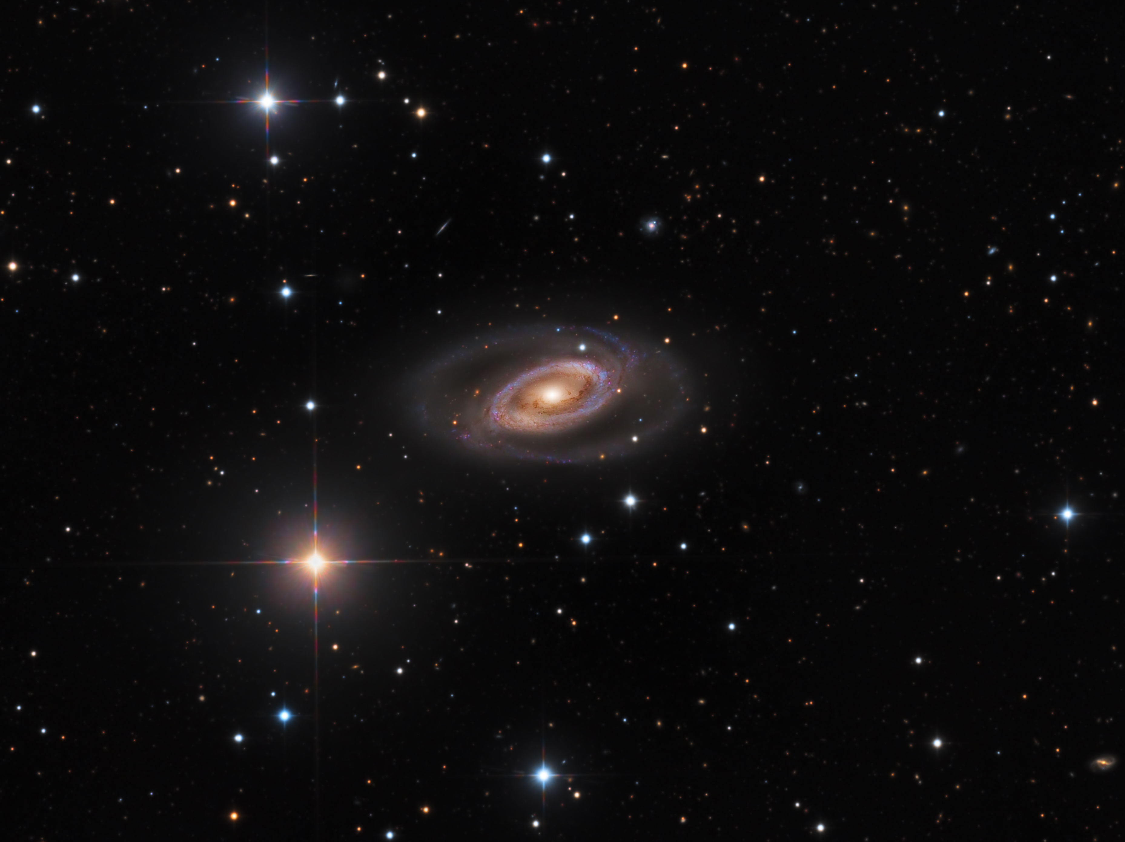   NGC 1350