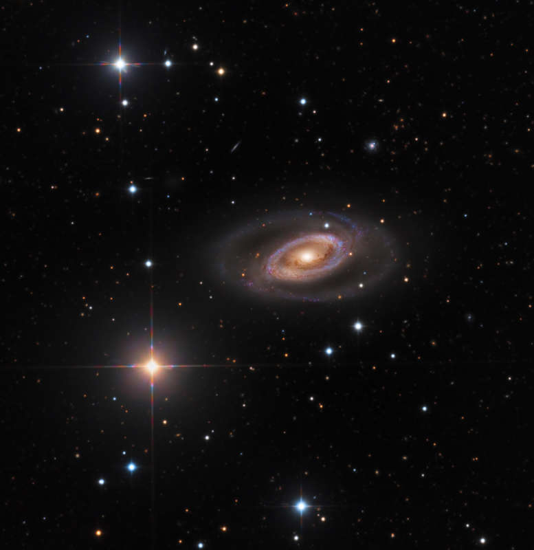 Спиральная галактика NGC 1350