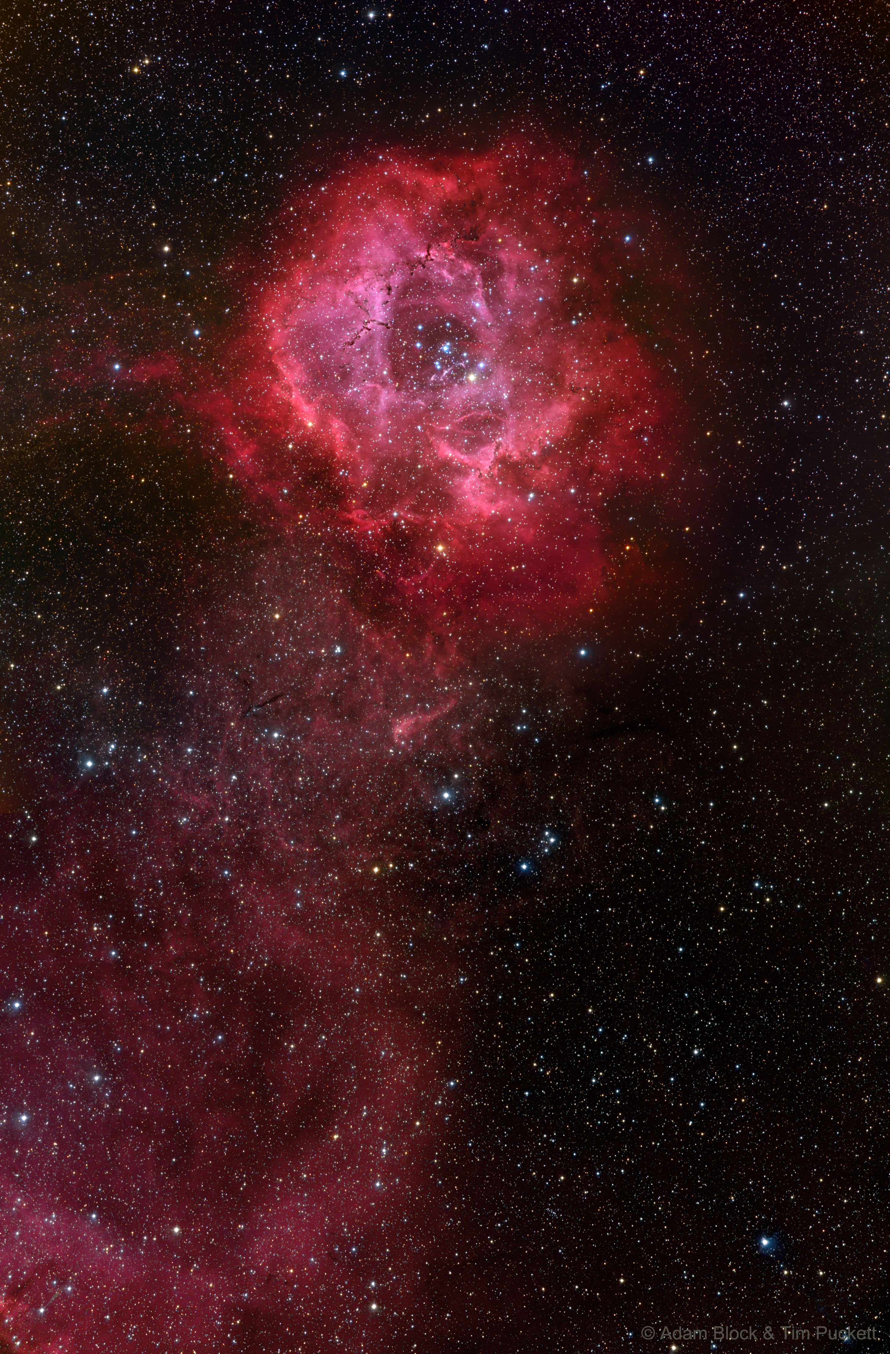 Long Stem Rosette Nebula