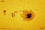 AR2835:   