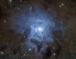 NGC 7023: tumannost' Iris