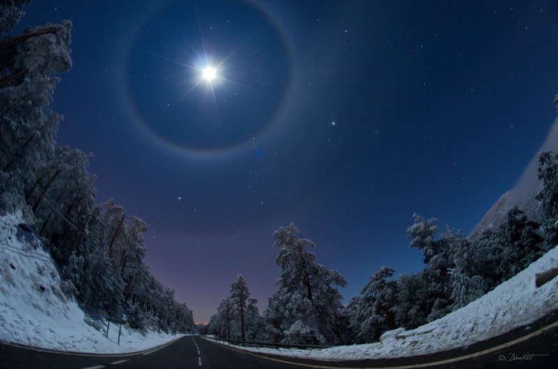 Четырехкратное лунное гало над зимней дорогой