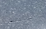 Комета Леонарда виляет хвостом
