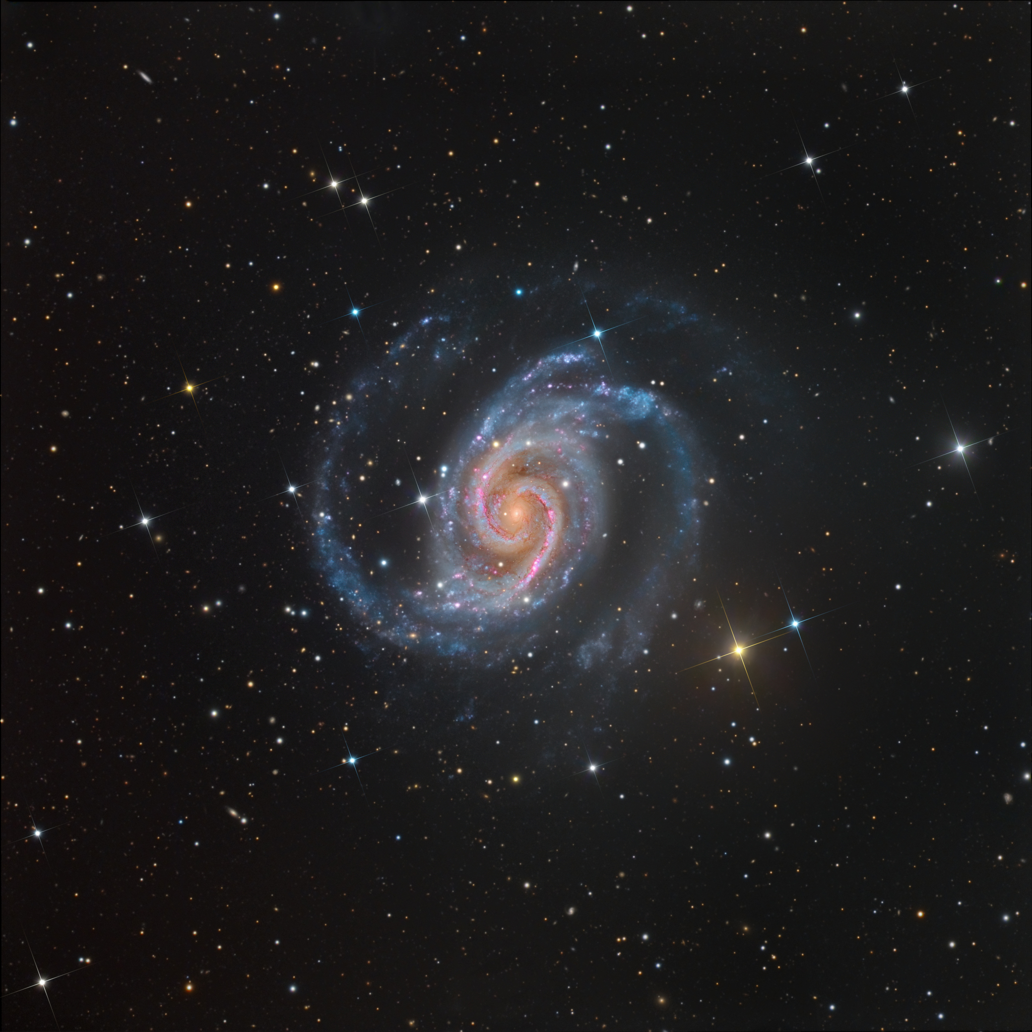 NGC 1566:   " "