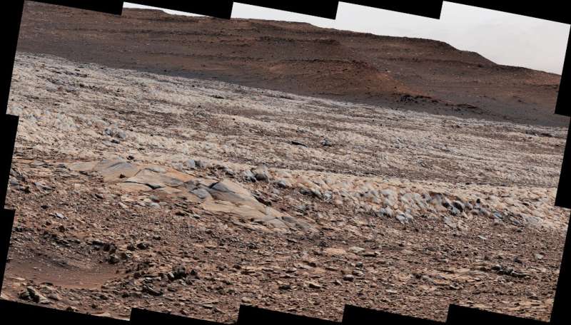 The Gator Back Rocks of Mars