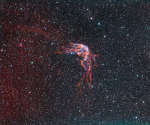RCW 86: остаток исторической сверхновой