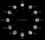 Лунные часы 2022 года