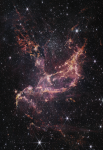 Молодое звездное скопление NGC 346