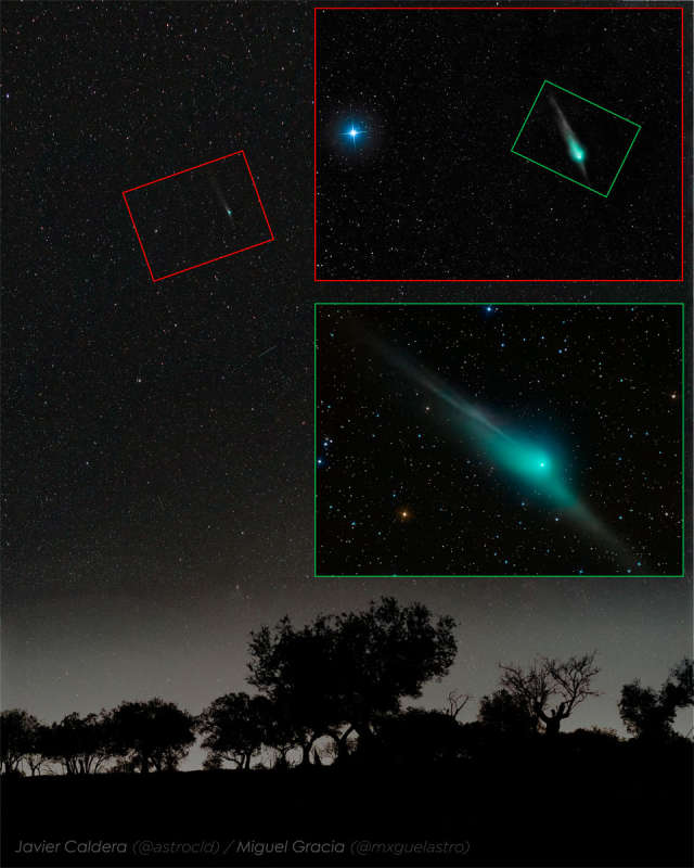 Три вида кометы ZTF