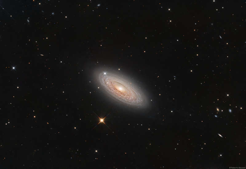 Спиральная галактика NGC 2841