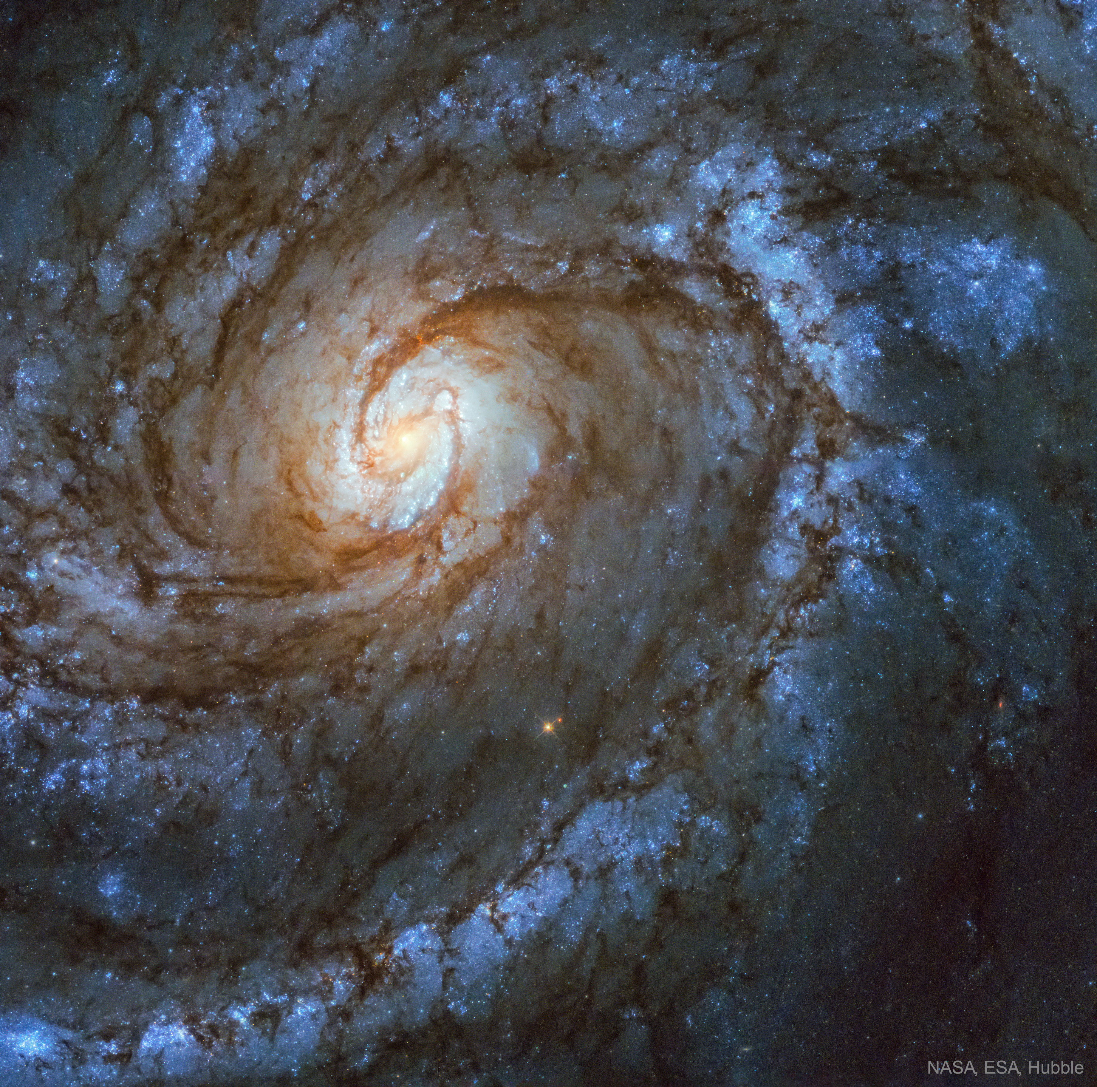 APOD: 2023 April 8  M100: A Grand Design Spiral Galaxy