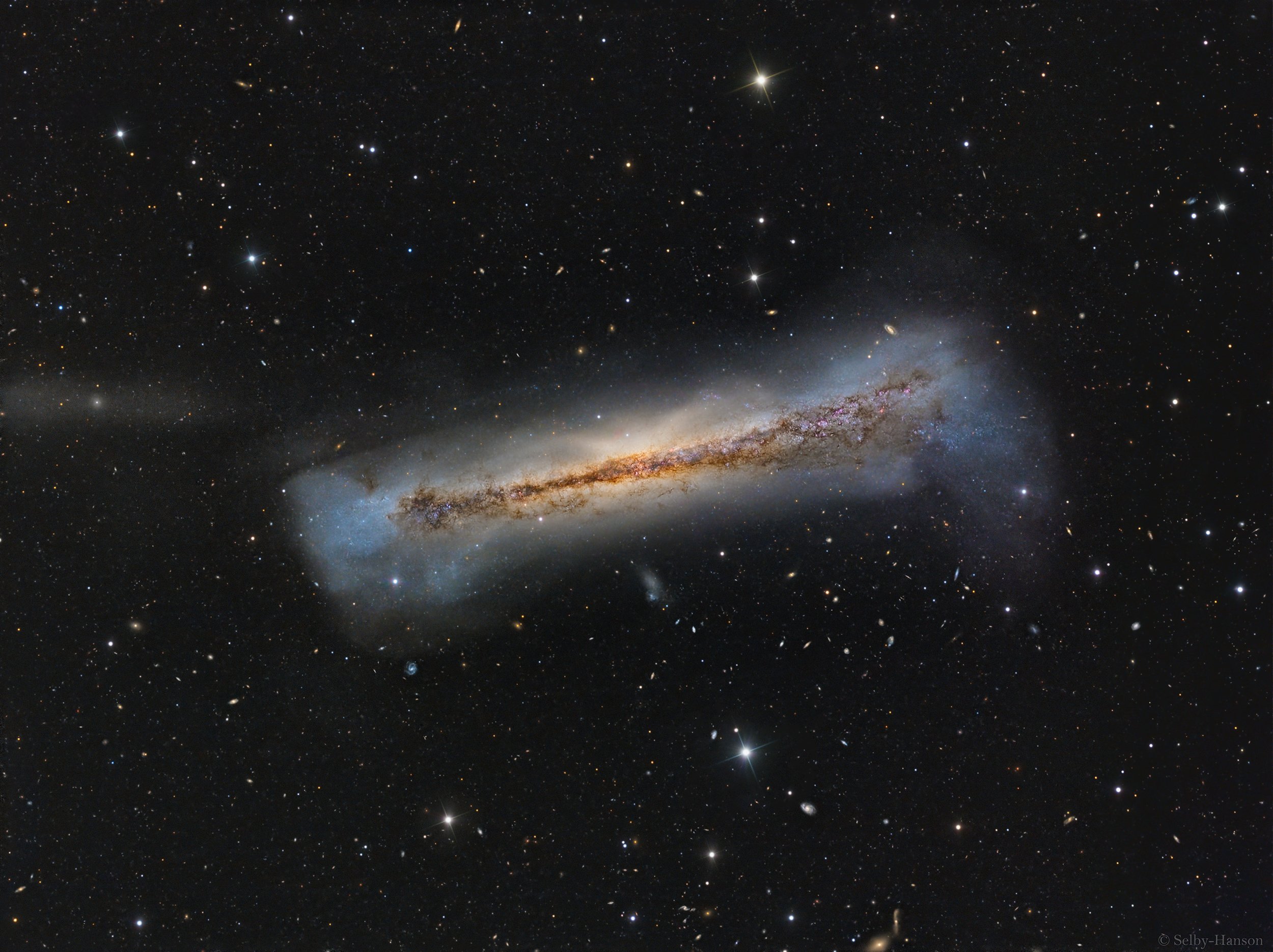 Portret NGC 3628